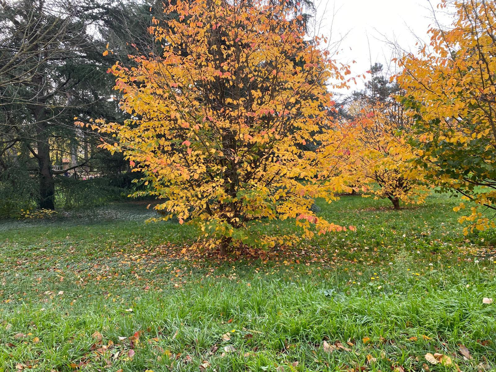 
                                                Vente
                                                 Appartement lumineux  proche Monts d’Or