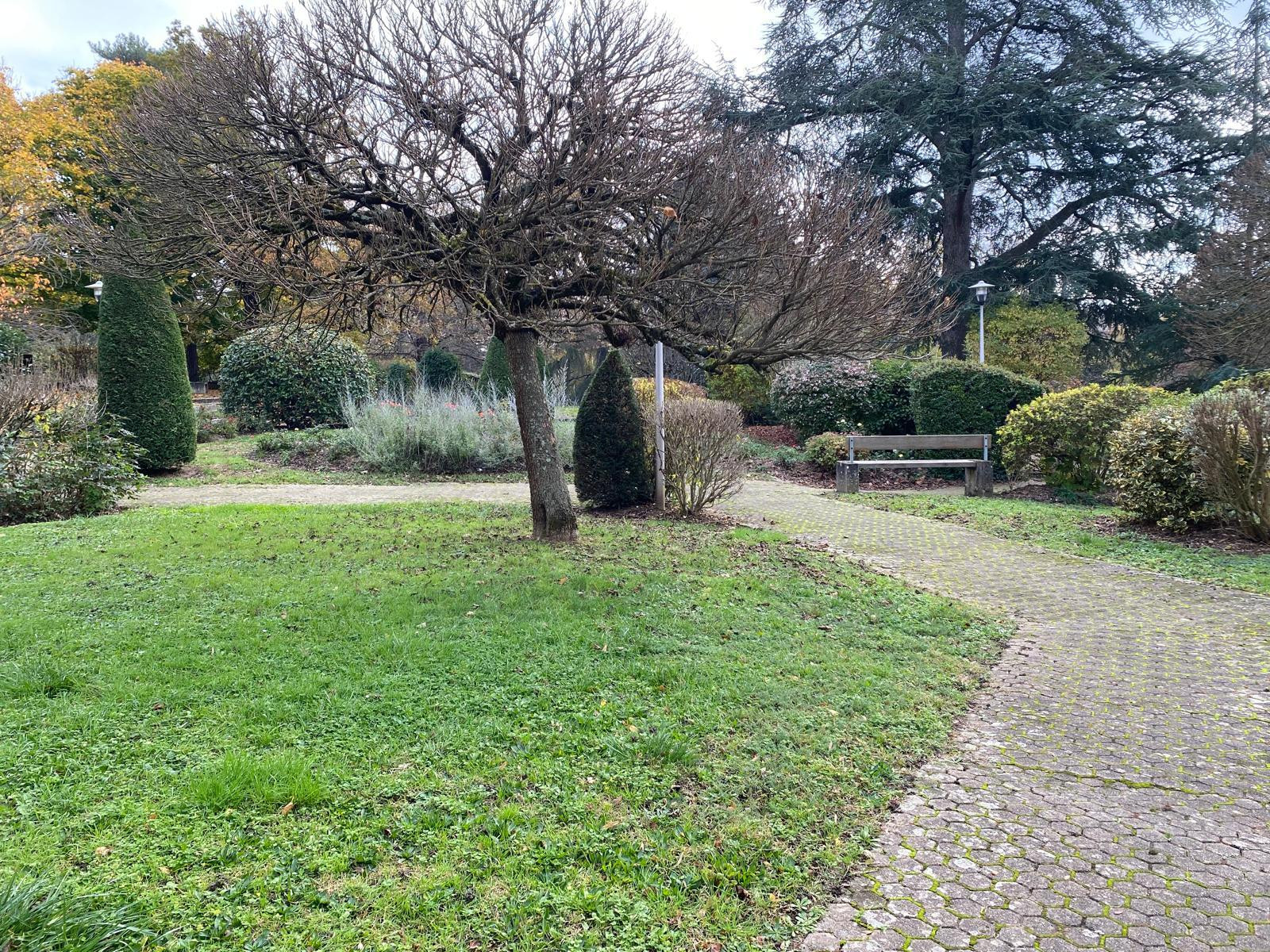 
                                                Vente
                                                 Appartement lumineux  proche Monts d’Or