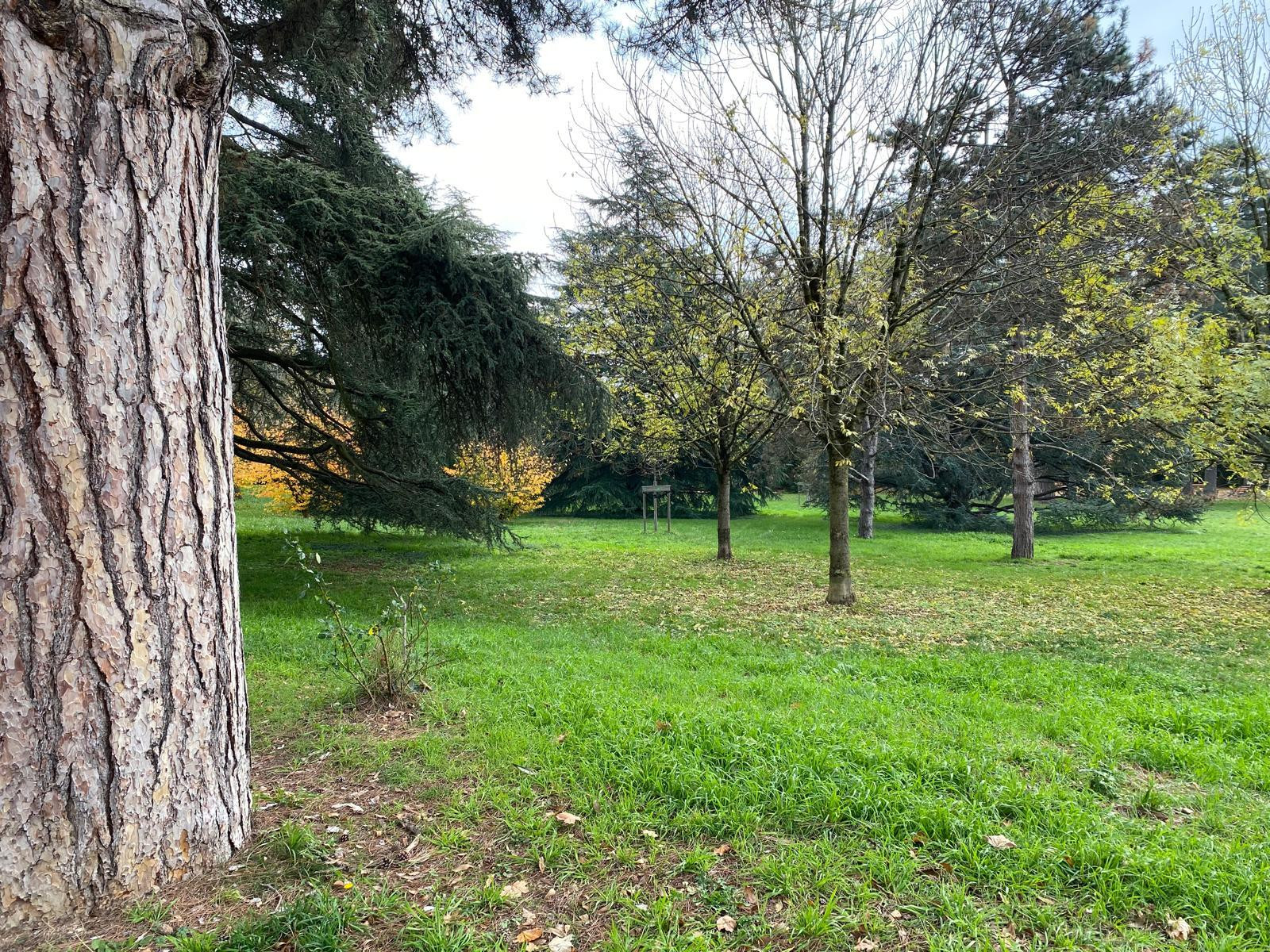 
                                                Vente
                                                 Appartement lumineux  proche Monts d’Or