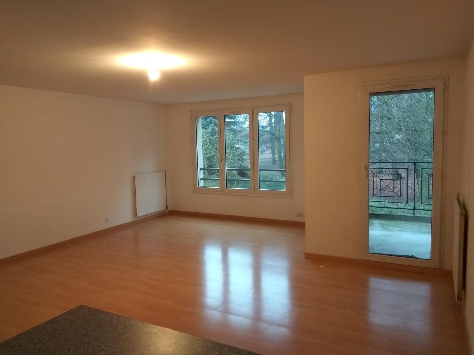 
                                                Location
                                                 Appartement lumineux sud sur parc arboré