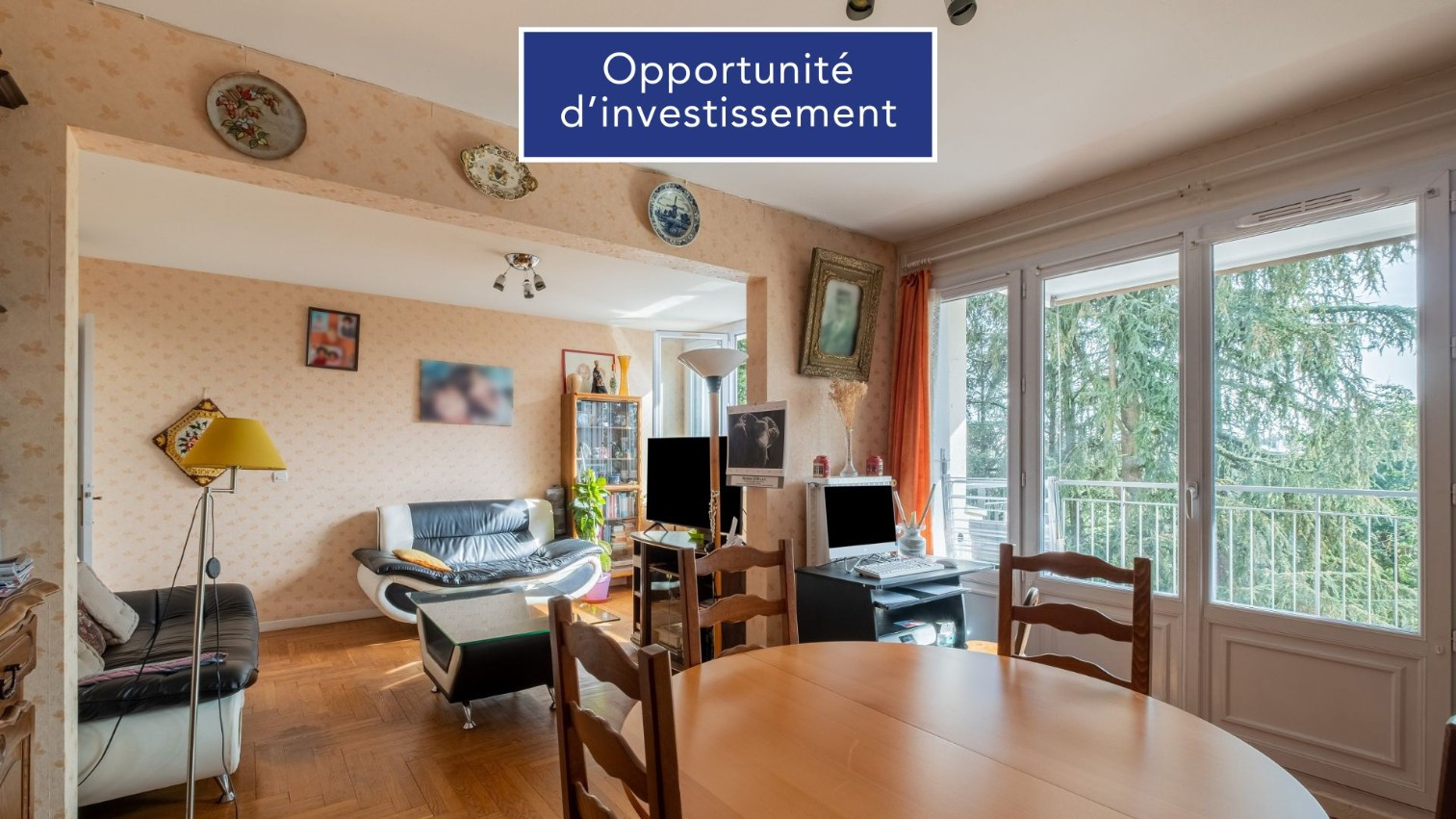 
                                                Viager
                                                 Appartement occupé avec 24% décote