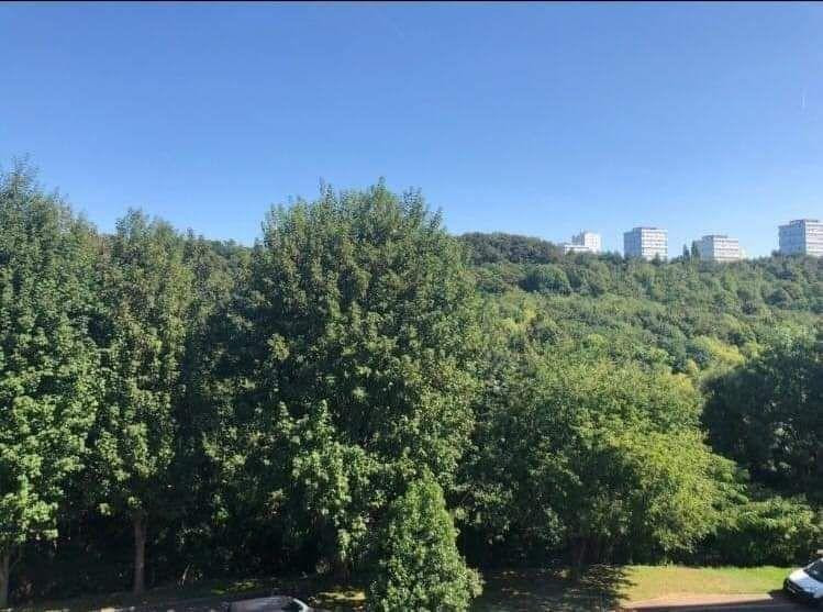 
                                                Location
                                                 Appartement proche CHU 47m² meublé