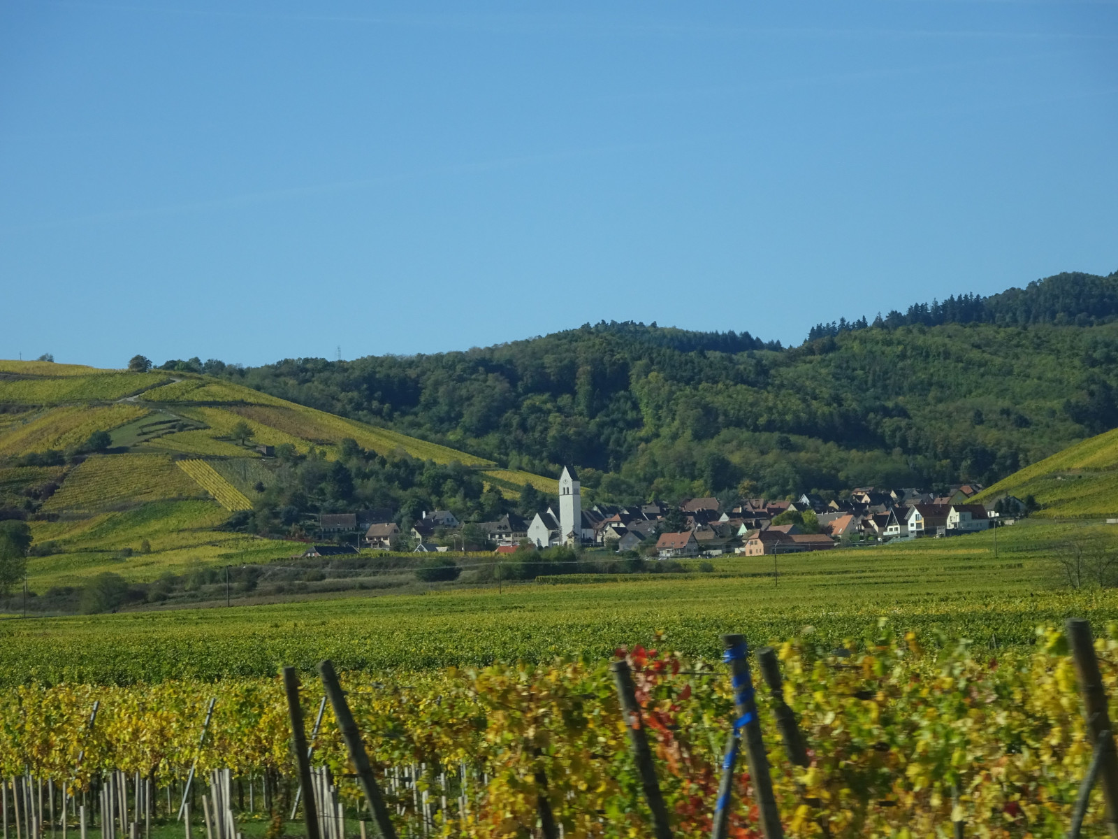 
                                                Location
                                                 Appartement romantic au coeur du vignoble (loyer tout inclus)