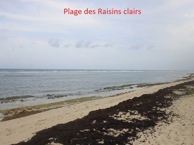 
                                                Vente
                                                 Appartement T3 rés. Crystal Beach Saint-François