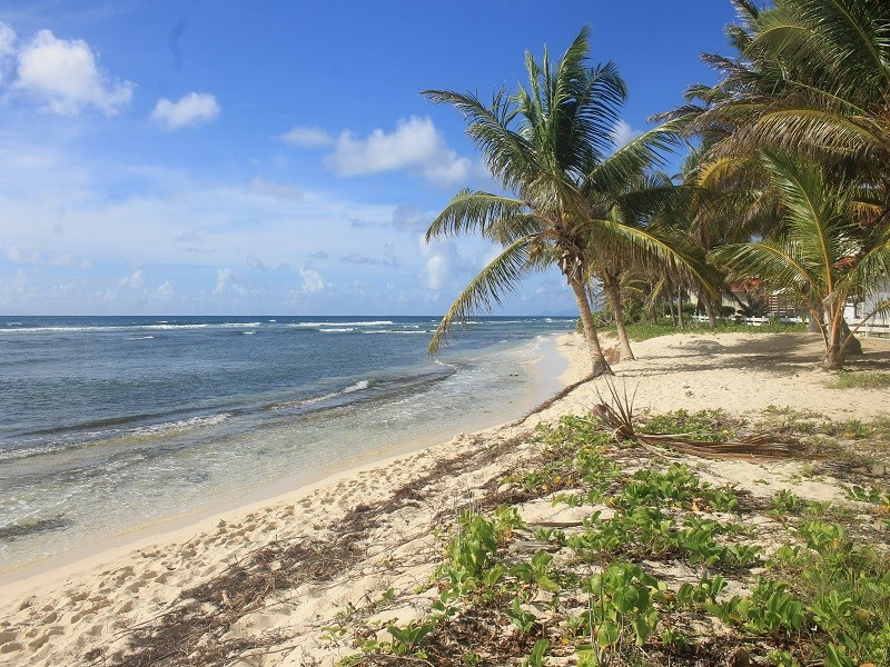 
                                                Vente
                                                 Appartement T3 résidence Crystal Beach