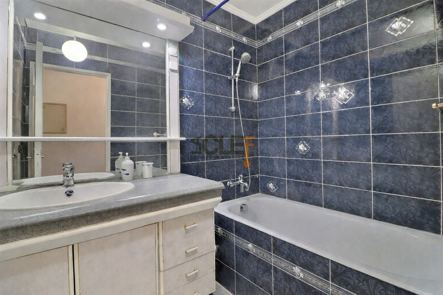 
                                                Location
                                                 Appartement Très grand T1 avec double balcon