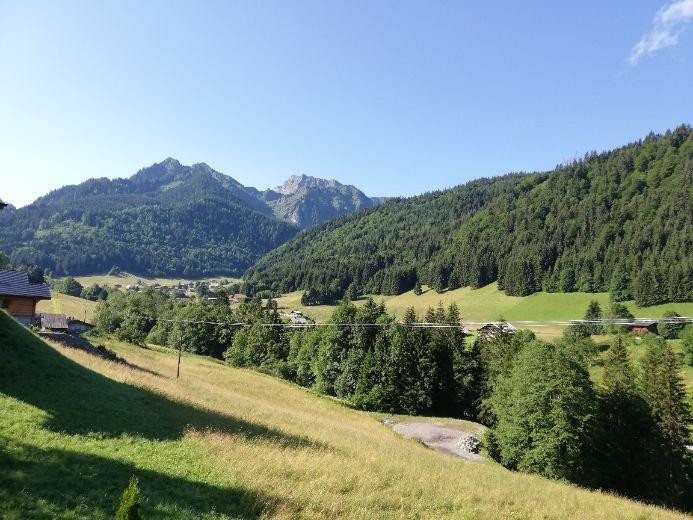 
                                                Location
                                                 Appt au calme dans chalet : jardin et vue montagne