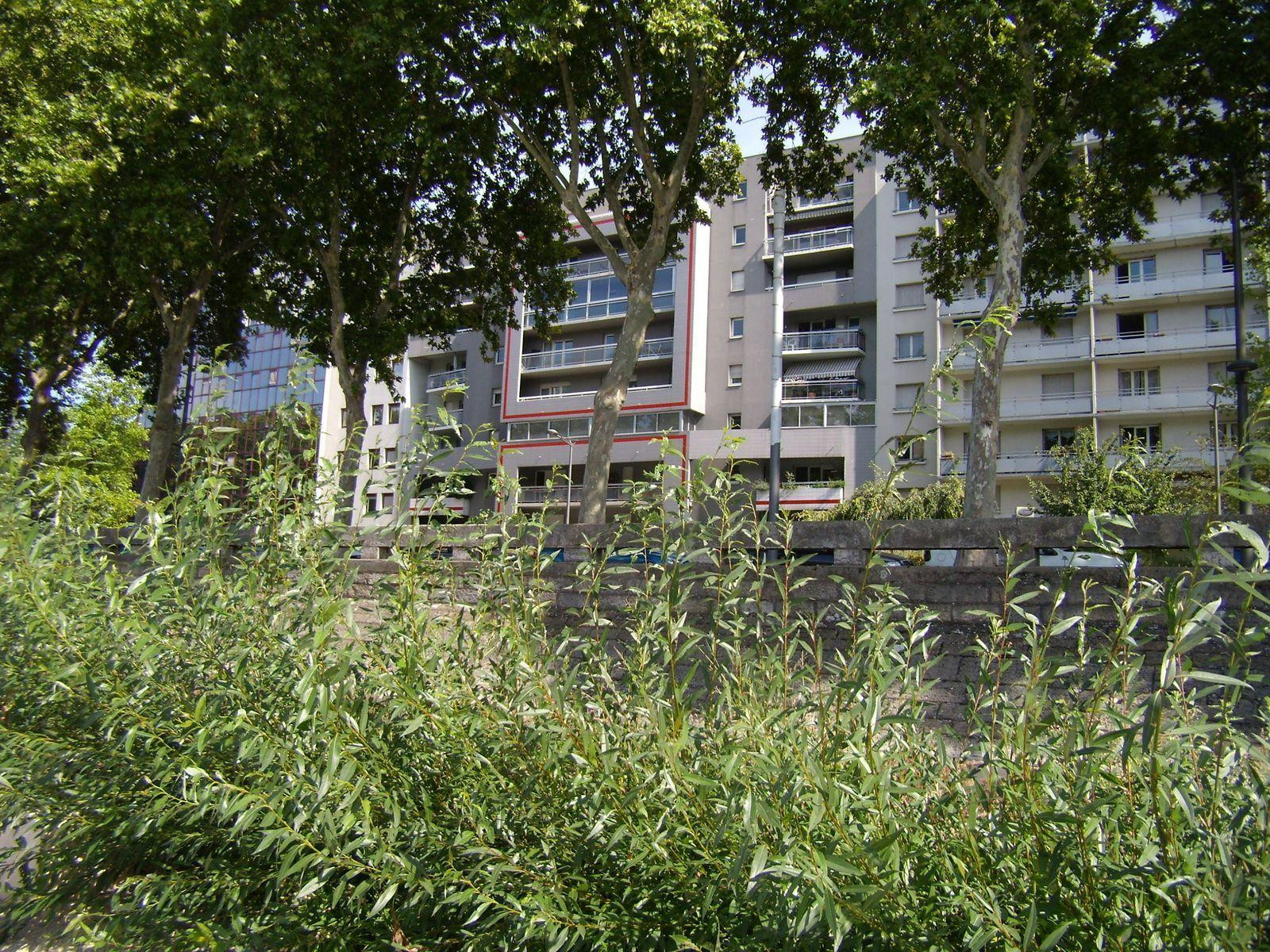 
                                                Location
                                                 Apt T3 - Vue sur le Rhône