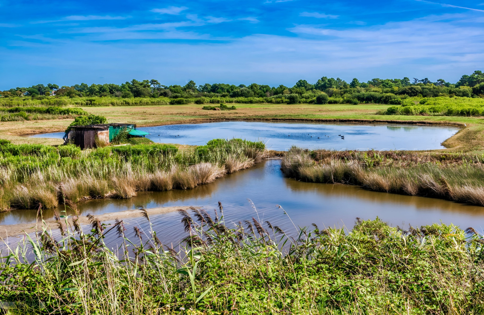 
                                                Vente
                                                 ARCACHON RESIDENCE HOTELIERE FACE A L’OCEAN