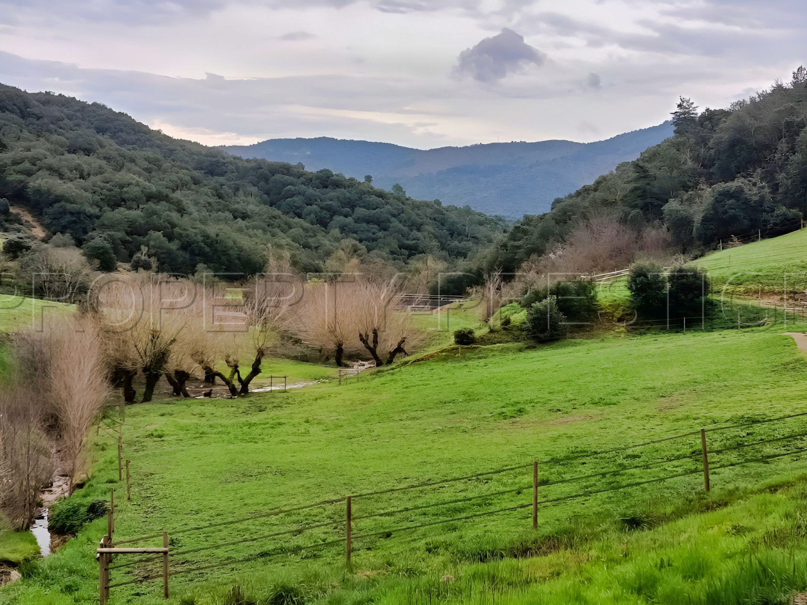 
                                                Vente
                                                 ARDECHE PROPRIETE DE CHARME 10 HA