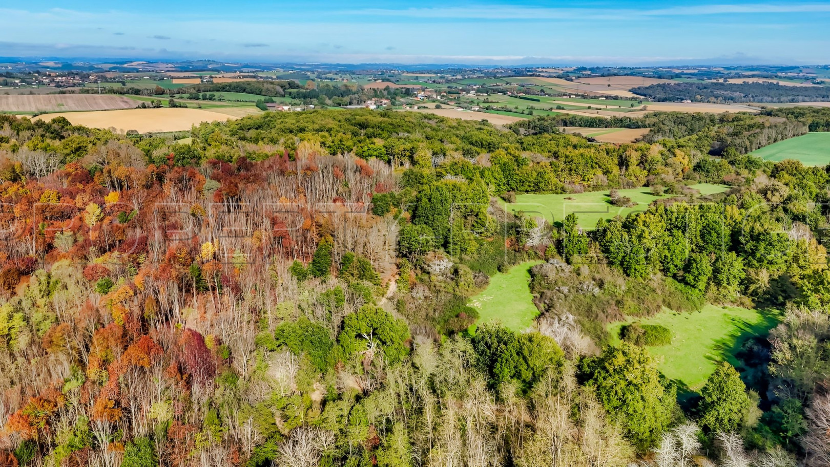 
                                                Vente
                                                 ARIEGE PROPRIETE FORESTIERE 54 HA
