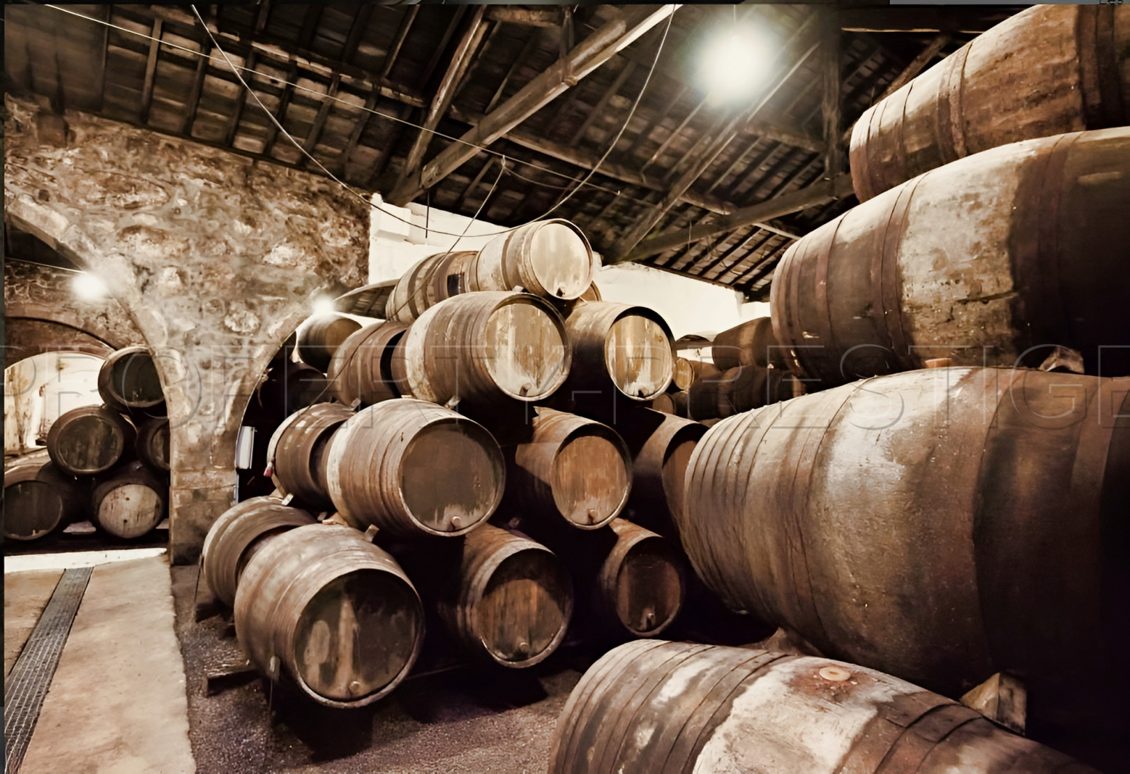 
                                                Vente
                                                 ARMAGNAC – A CEDER CHAI + GRAND STOCK DE QUALITE