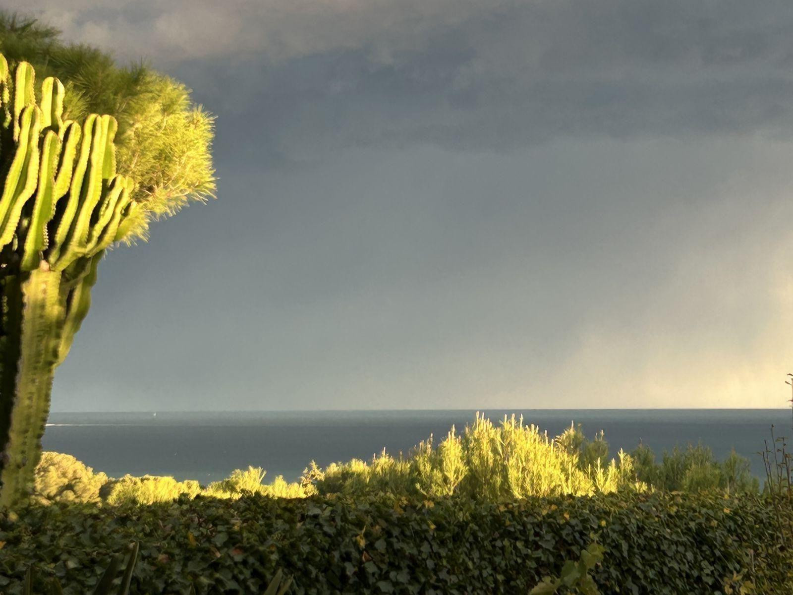 
                                                Location
                                                 Au calme jolie T2