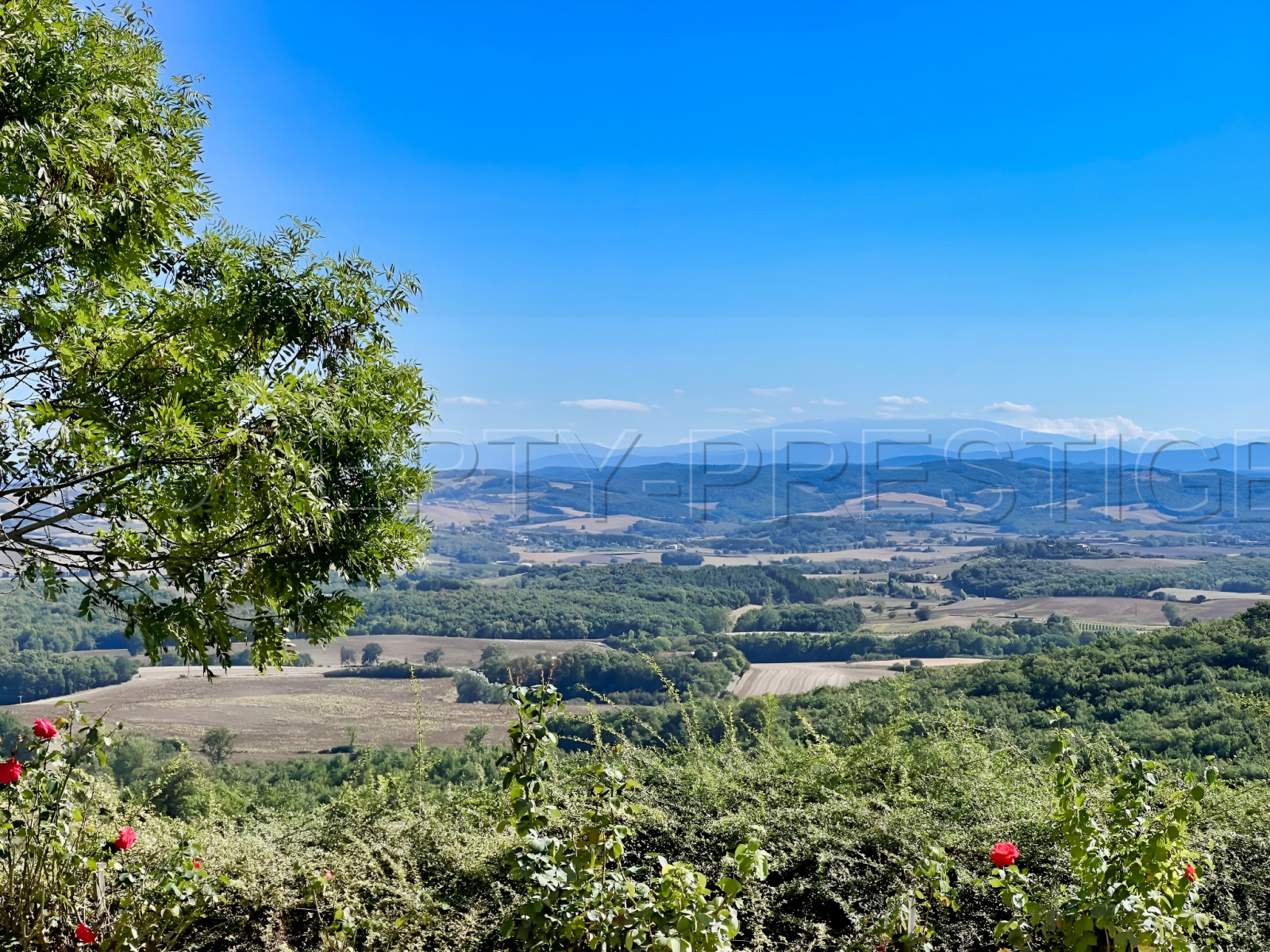 
                                                Vente
                                                 AUDE/ARIEGE – PROPRIETE 1280 HA - ETANGS