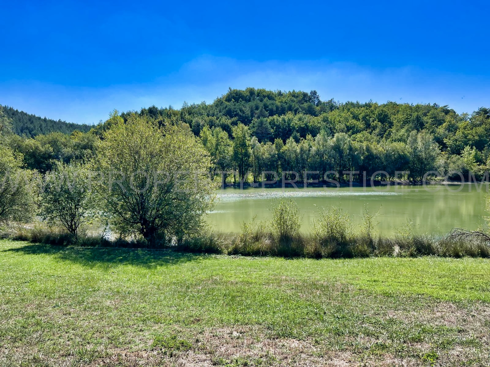 
                                                Vente
                                                 AUDE/ARIEGE – PROPRIETE 1280 HA - ETANGS