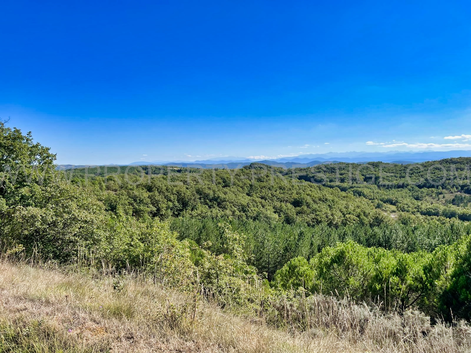 
                                                Vente
                                                 AUDE/ARIEGE – PROPRIETE 1280 HA - ETANGS