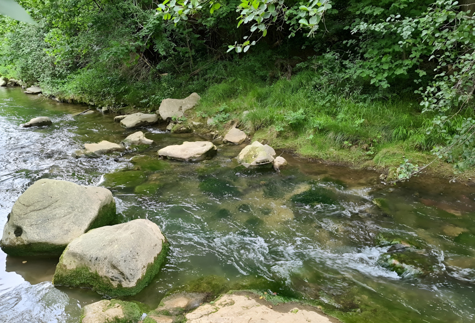 
                                                Vente
                                                 AUDE DOMAINE TOURISTIQUE 9 HA LACS
