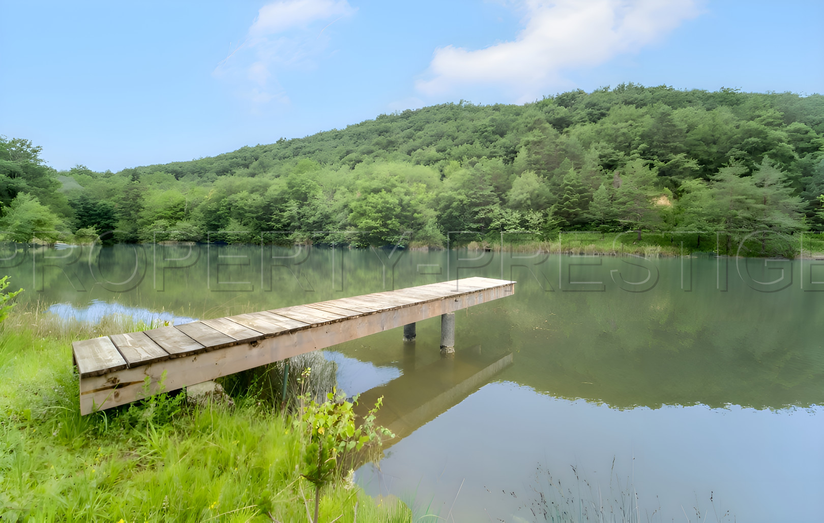 
                                                Vente
                                                 AUDE DOMAINE TOURISTIQUE 9 HA LACS