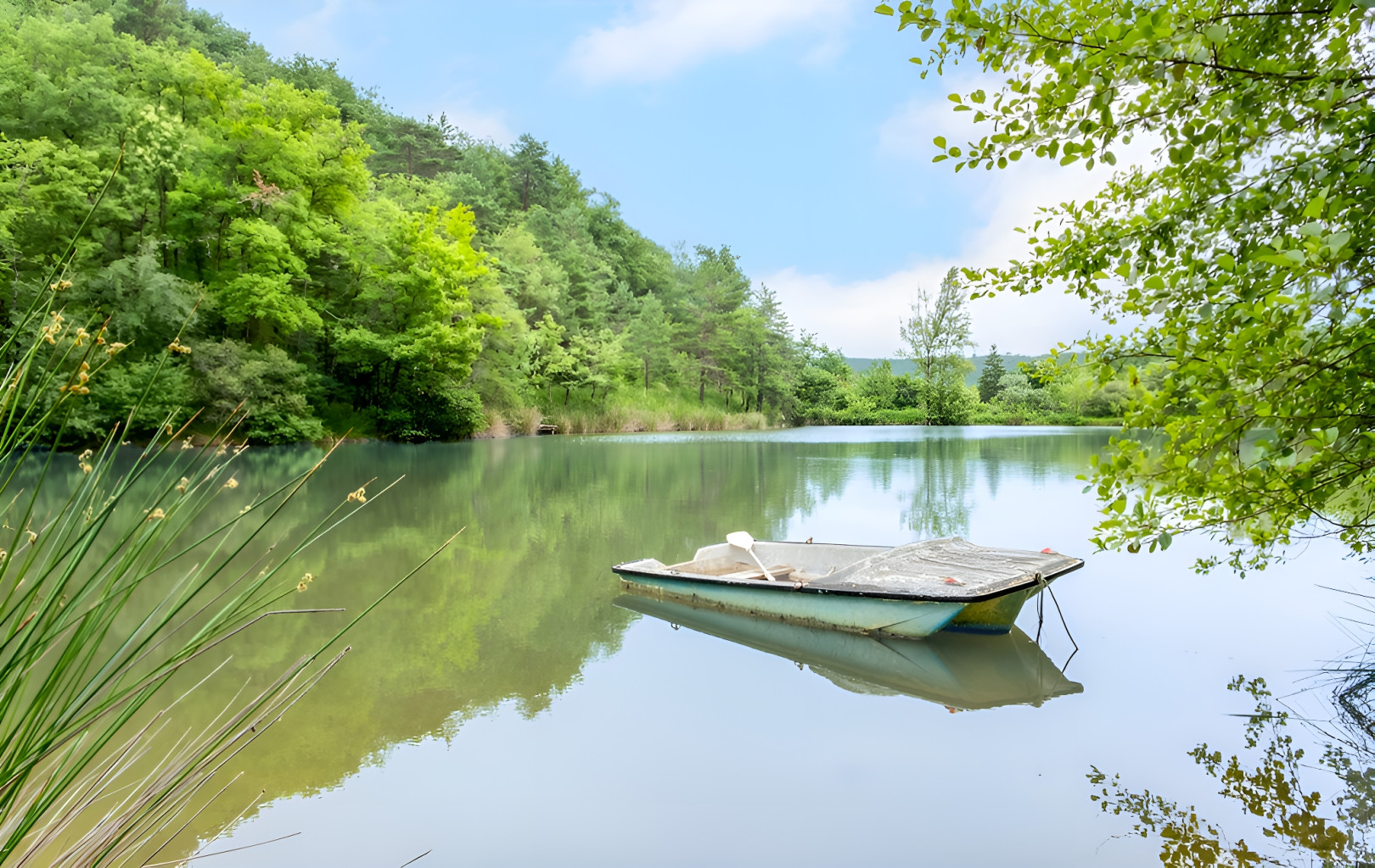 
                                                Vente
                                                 AUDE DOMAINE TOURISTIQUE 9 HA LACS