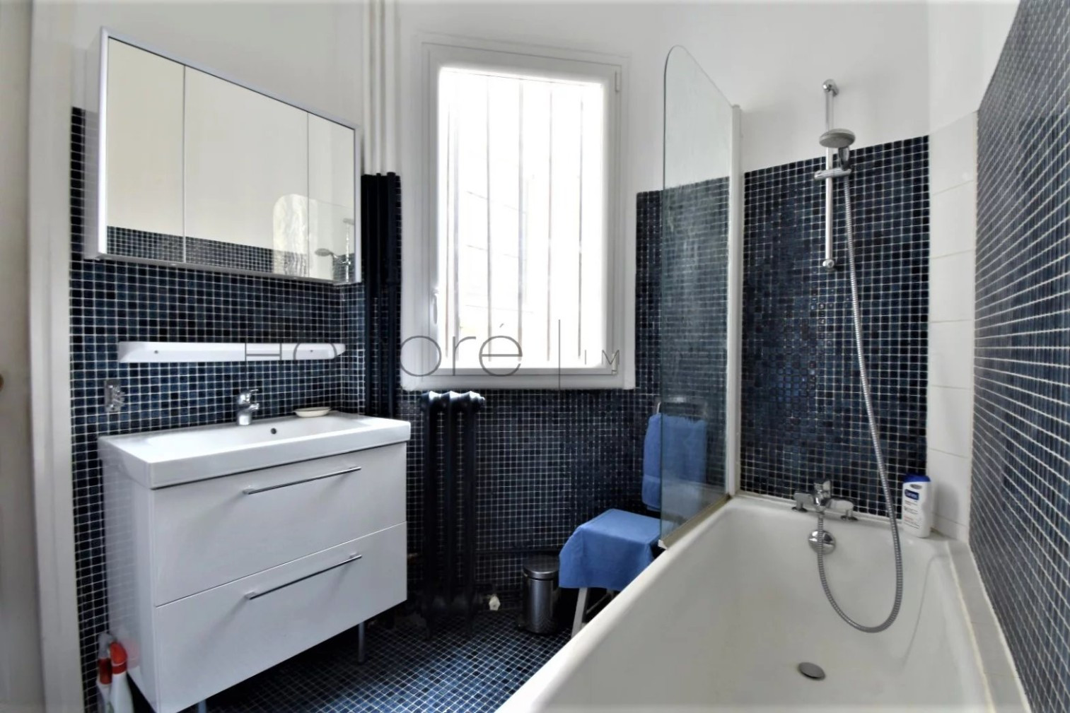 
                                                Vente
                                                 AUTEUIL - THEOPHILE GAUTIER - APPARTEMENT FAMILIAL