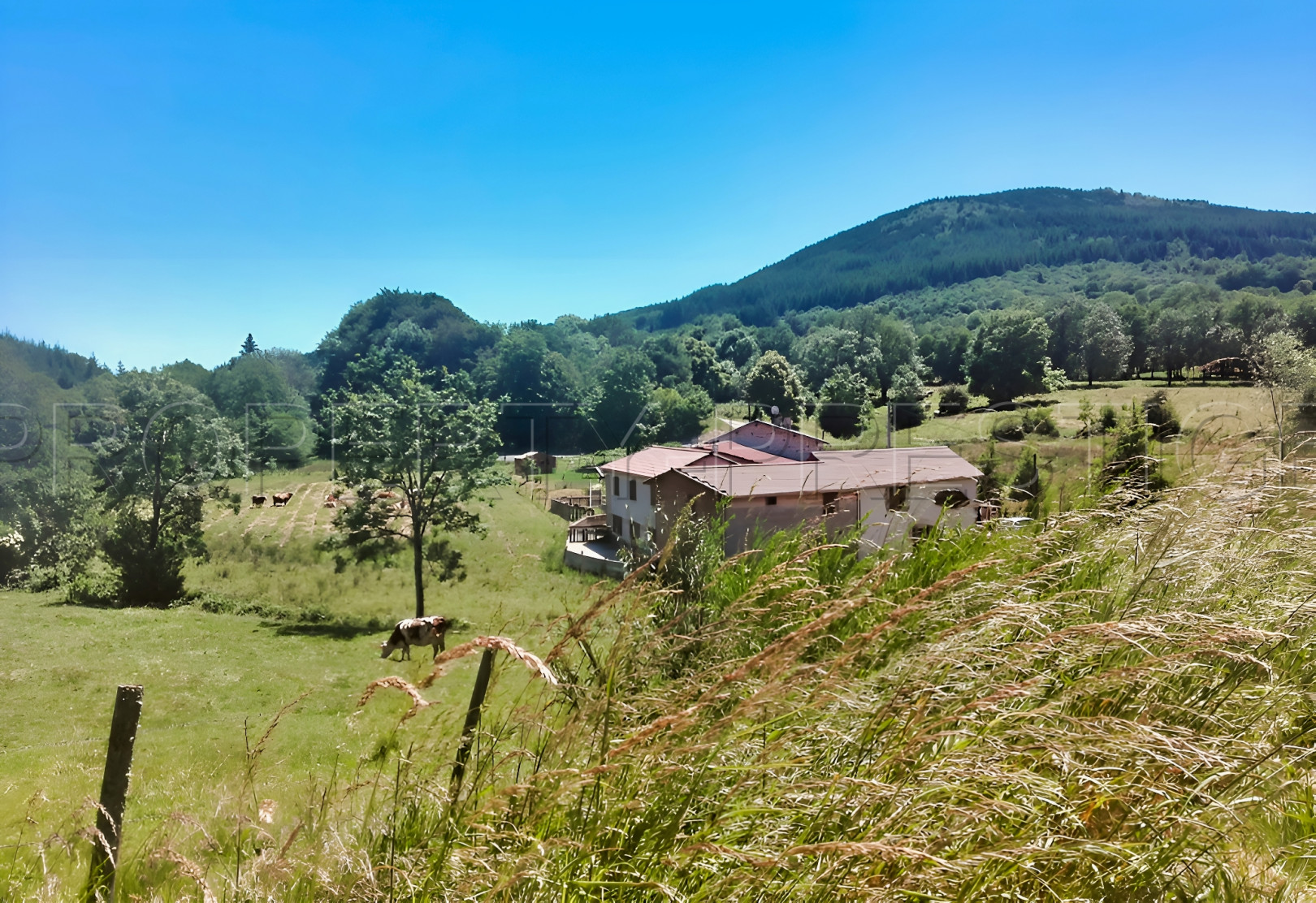 
                                                Vente
                                                 AUVERGNE ANCIEN MOULIN GITES ET CHAMBRES D’HOTES