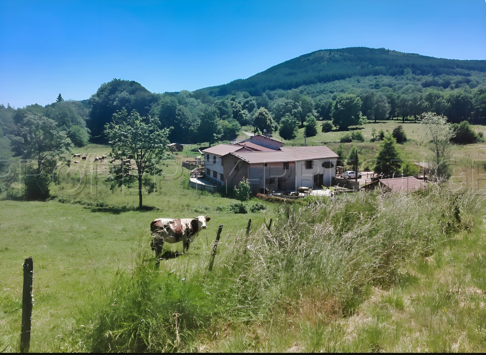 
                                                Vente
                                                 AUVERGNE ANCIEN MOULIN GITES ET CHAMBRES D’HOTES