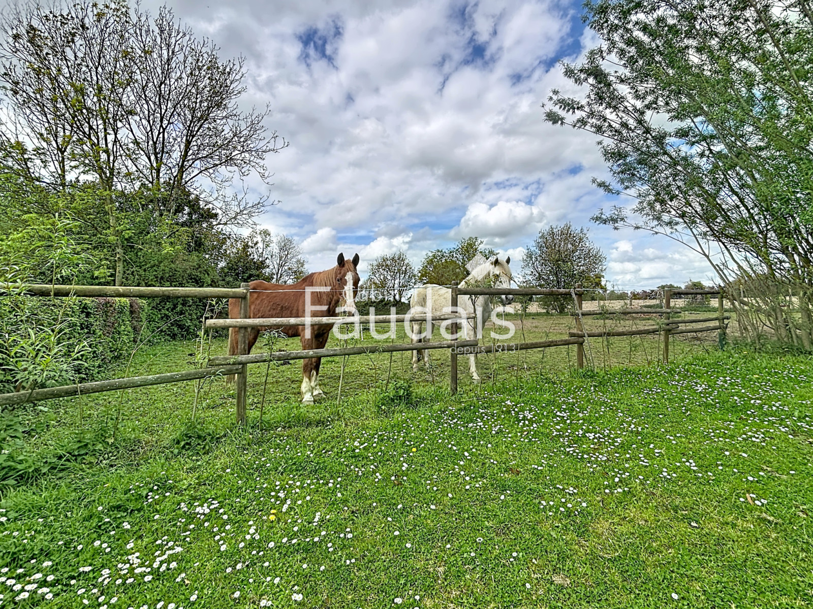 
                                                Vente
                                                 Axe GRANVILLE-COUTANCES - Maison anglo-normande avec chambre