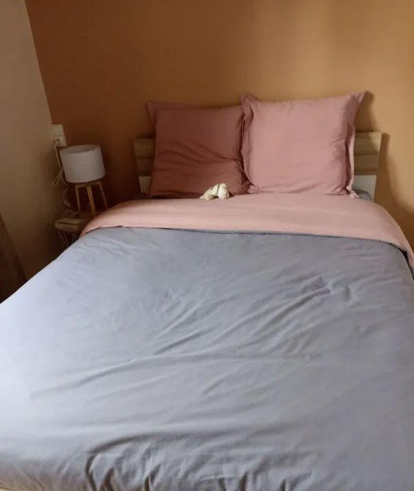 
                                                Location
                                                 Beau 2P 31m² rénové très calme et lumineux