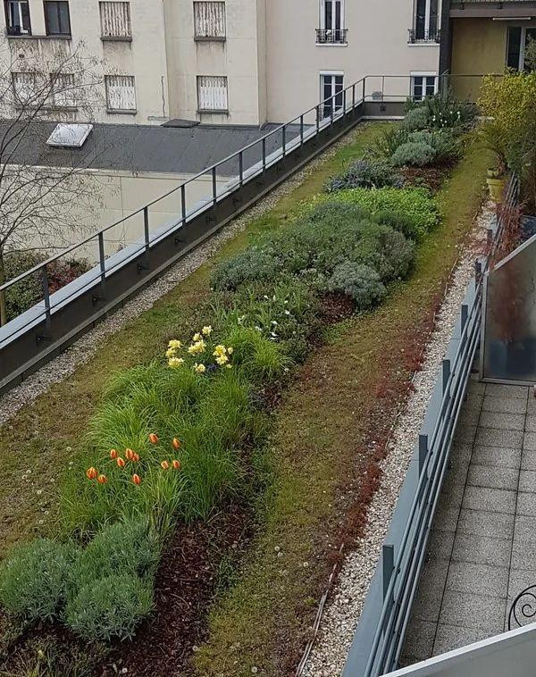 
                                                Location
                                                 Beau 2P 40m² avec balcon