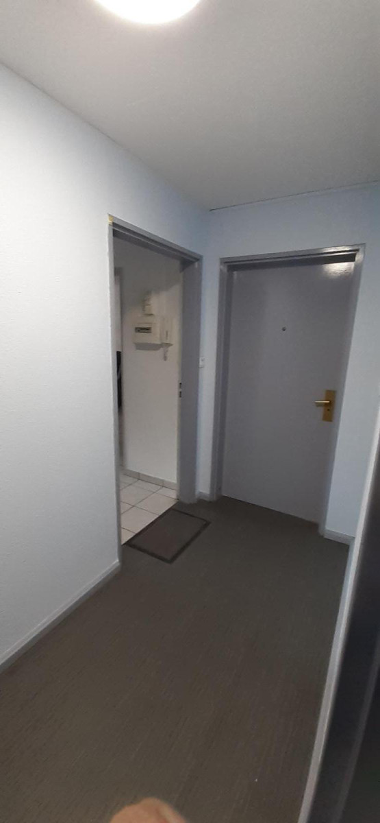 
                                                Location
                                                 Beau 2P très ensoleillé