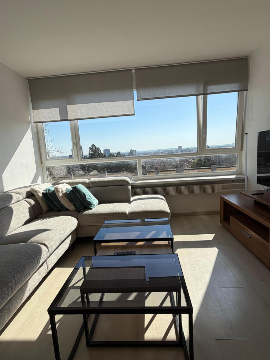 
                                                Location
                                                 Beau 3P lumineux 56m² sud super vue proche centre