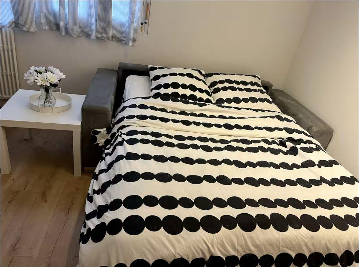 
                                                Location
                                                 Beau F1 meublé refait à neuf Carré d’Or