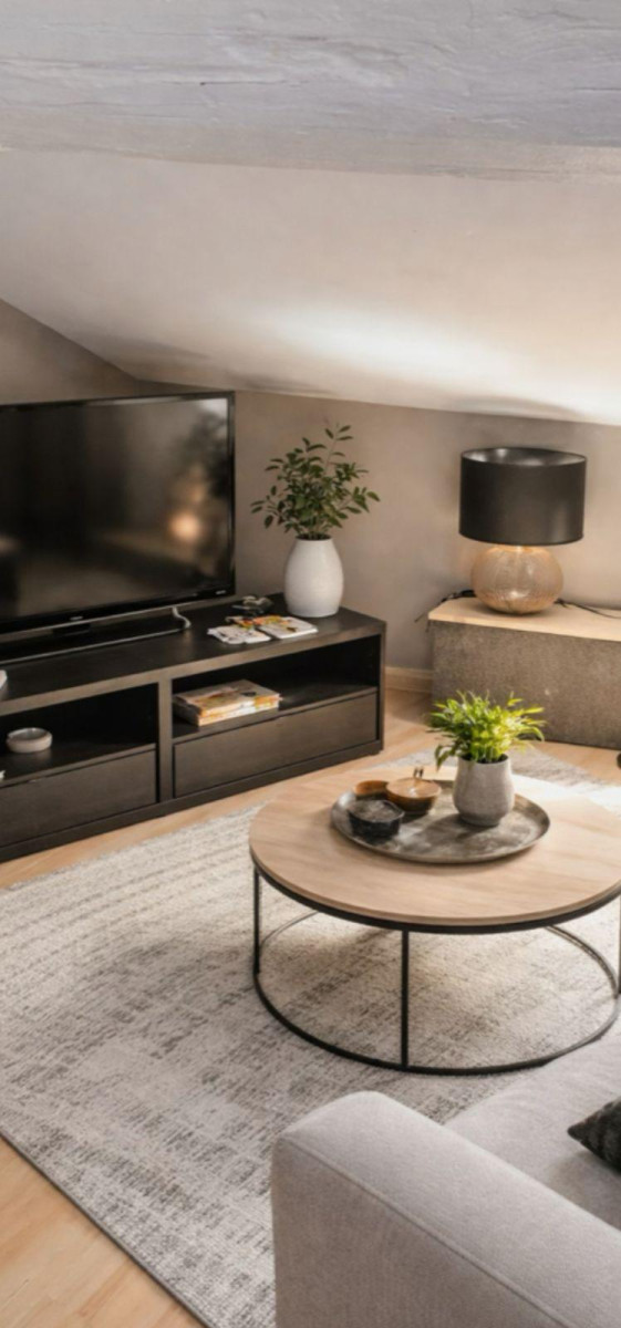 
                                                Location
                                                 Beau F2 meublé 25m²