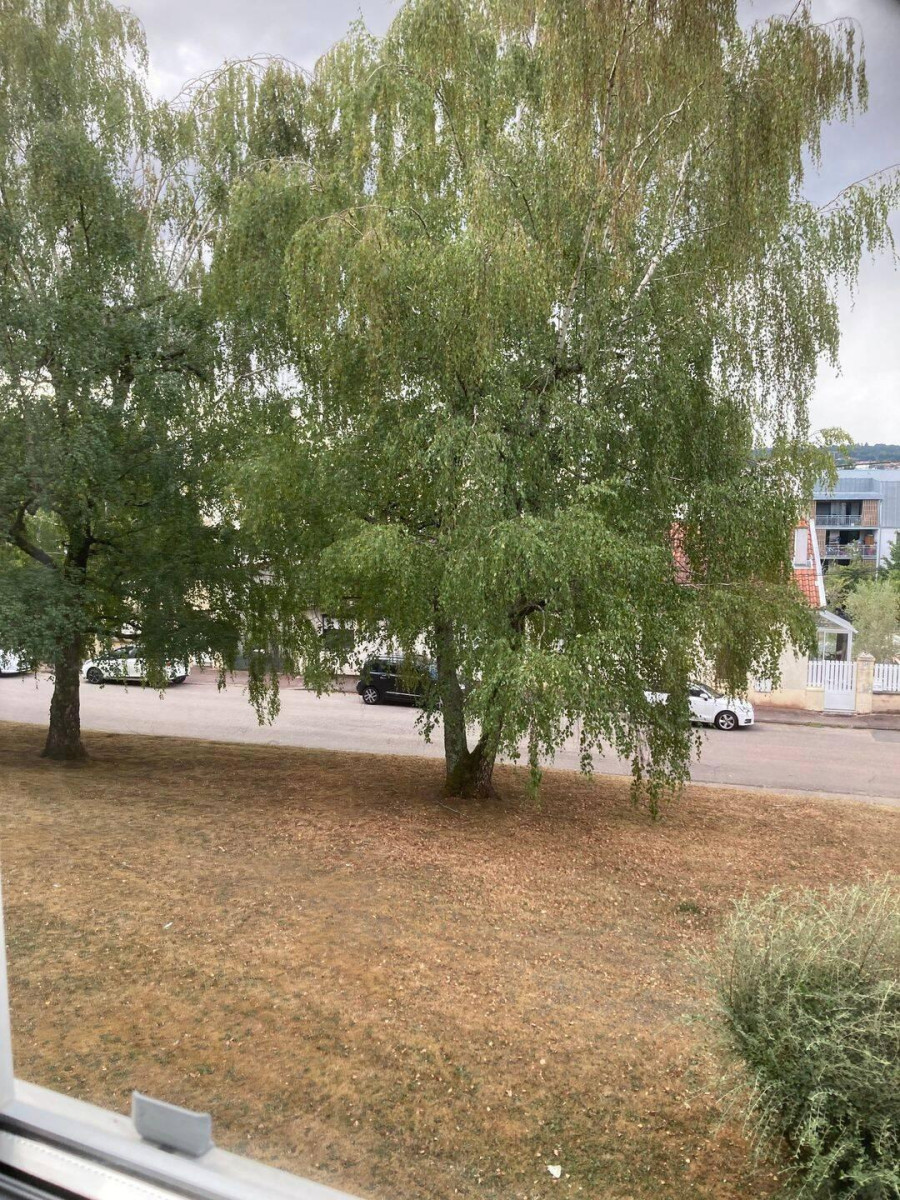 
                                                Location
                                                 Beau F3 60m² bien situé avec de nombreux atouts