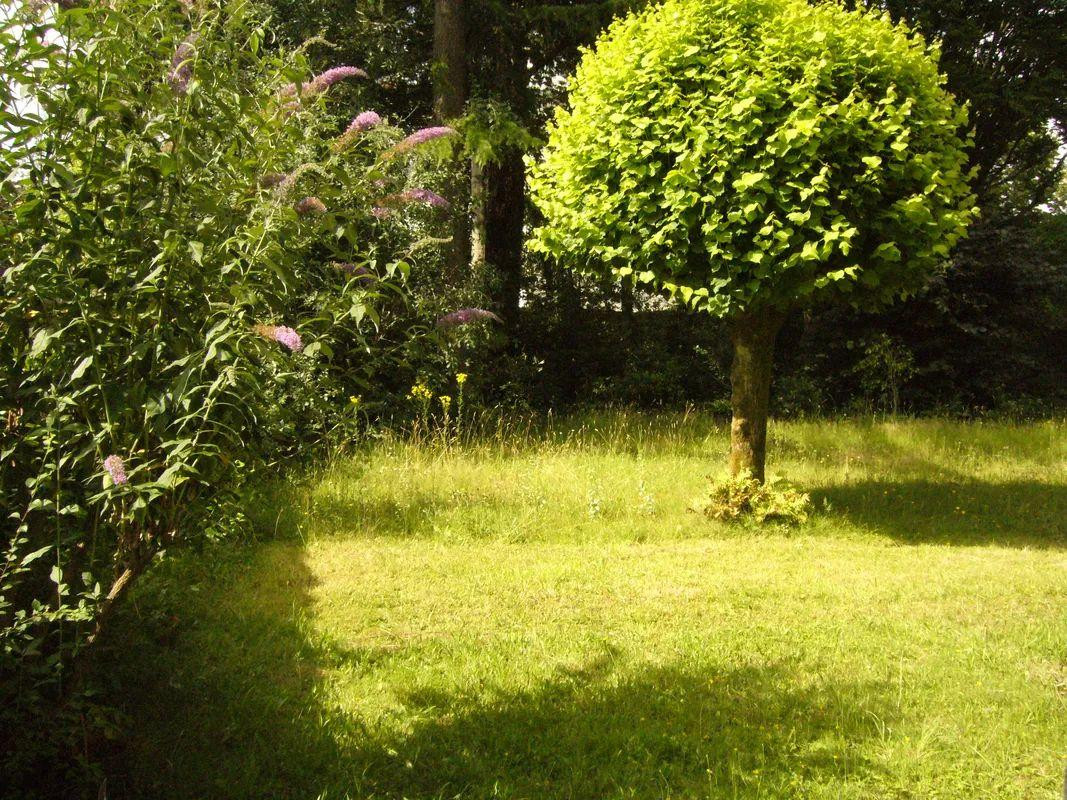 
                                                Location
                                                 Beau studio 24m² donnant sur jardin Nantes