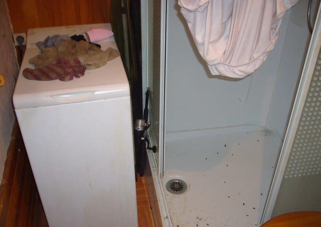 
                                                Location
                                                 Beau studio meublé 13m²