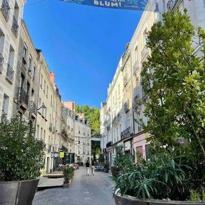 
                                                Location
                                                 Beau studio meublé 26m²