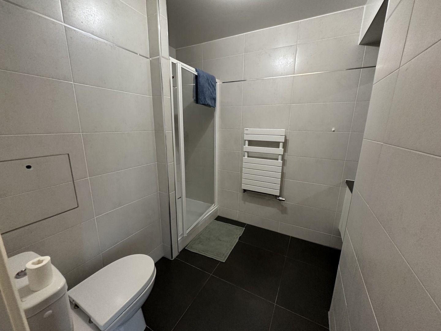 
                                                Location
                                                 Beau studio meublé 32m² au calme sur jardin