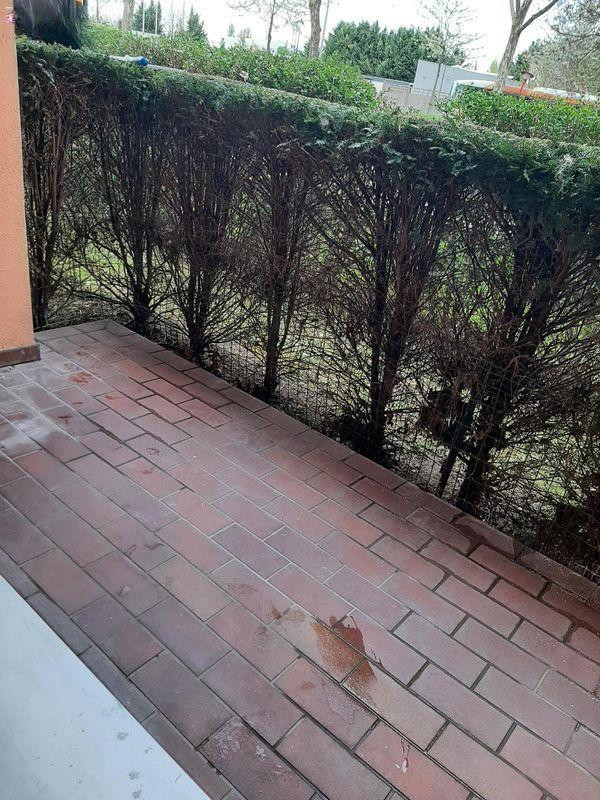 
                                                Location
                                                 Beau T3 66 m² rénové Rotonde
