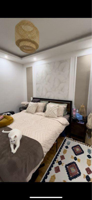 
                                                Location
                                                 Bel appartement rénové agréable et fonctionnel