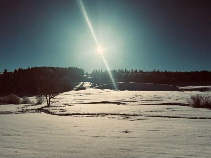 
                                                Location
                                                 Bel appartement rénové avec goût T3