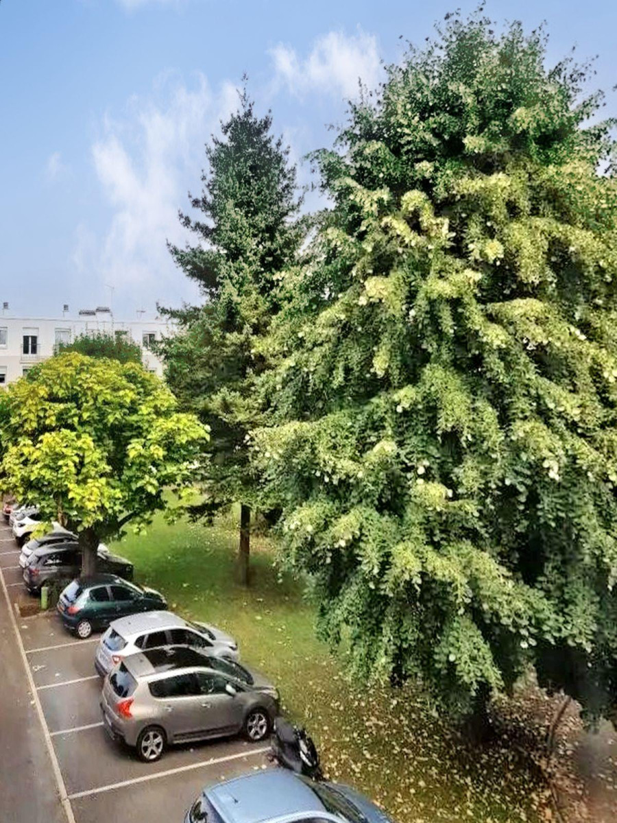 
                                                Location
                                                 Bel appartement rénové, ensoleillé et lumineux