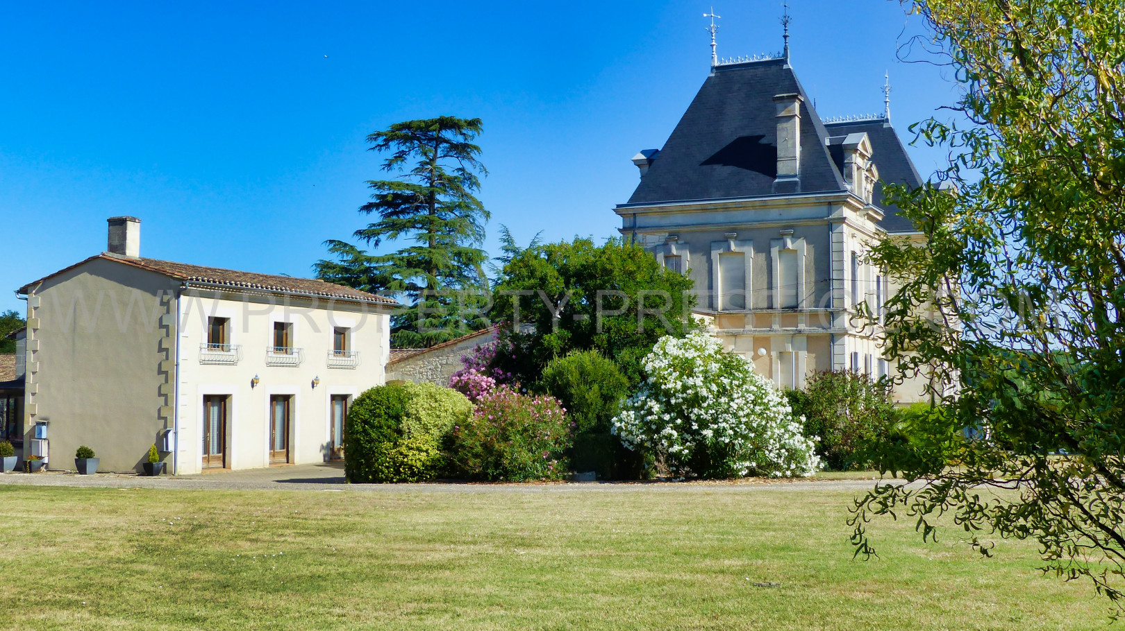 
                                                Vente
                                                 BORDEAUX – CHATEAU VITICOLE – 22 HA – CANON FRONSAC