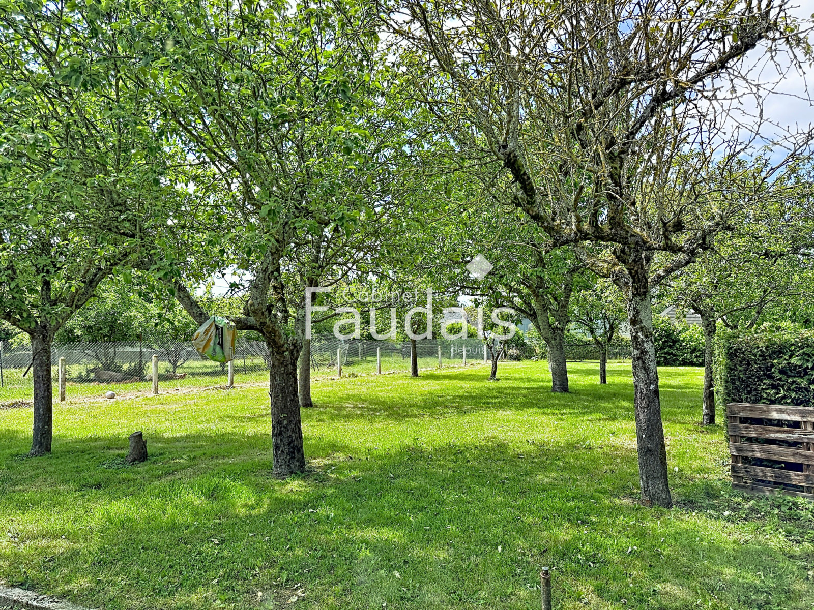 
                                                Vente
                                                 bourg de TORIGNI SUR VIRE