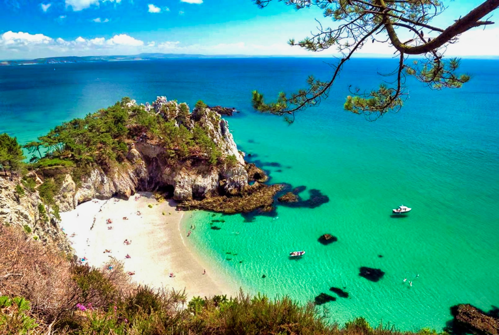 
                                                Vente
                                                 BRETAGNE - PRL - PARC LOISIRS - VUE MER - 9 HA