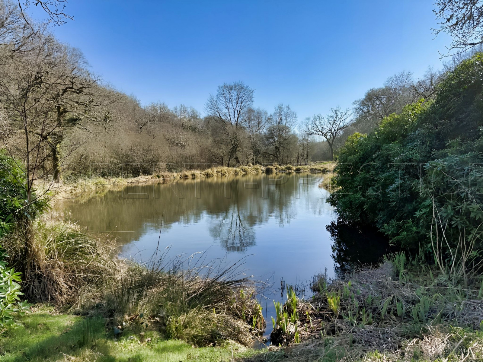 
                                                Vente
                                                 BRETAGNE PROPRIETE AVEC SON MOULIN 20 HA ETANG
