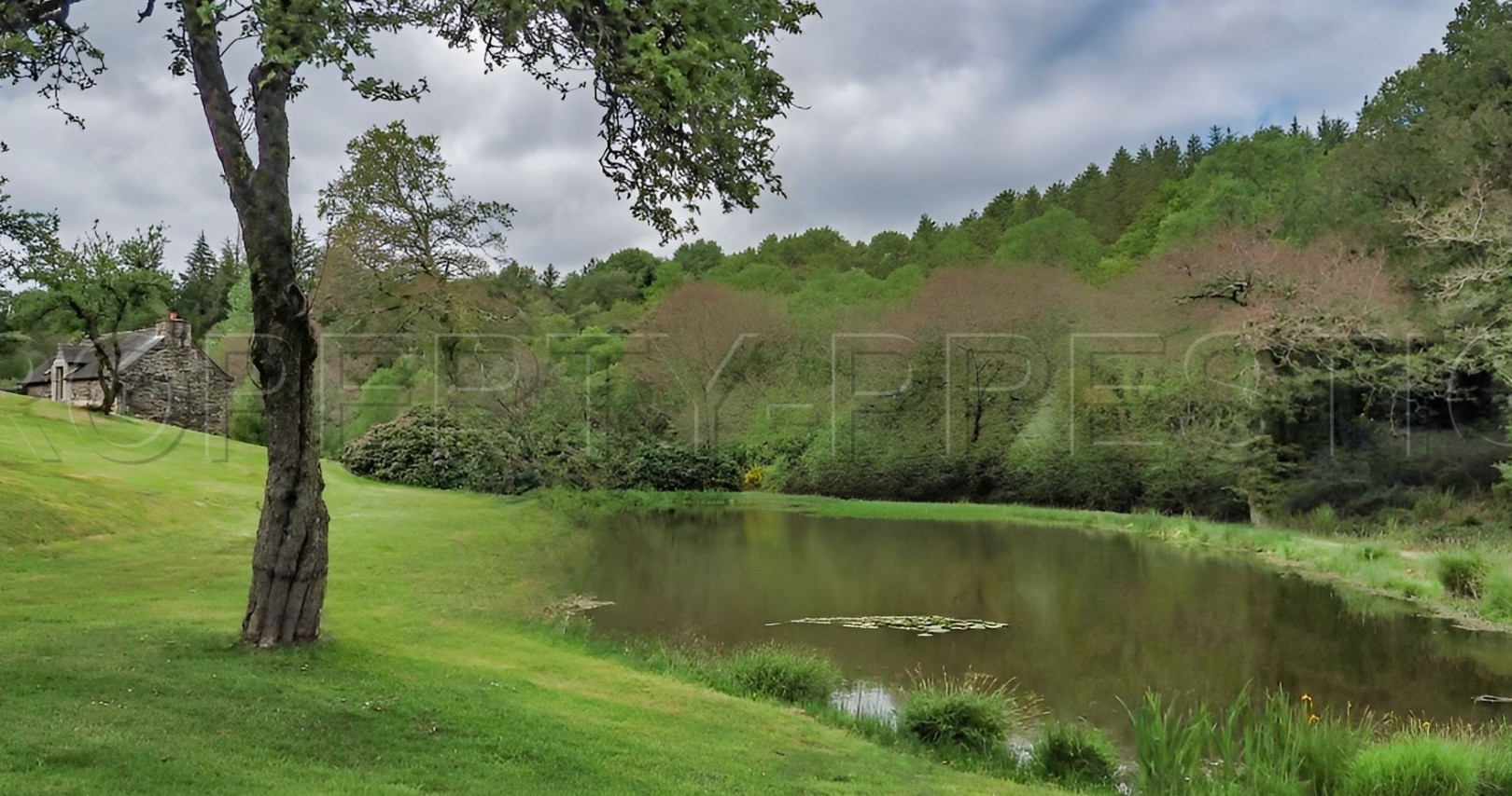 
                                                Vente
                                                 BRETAGNE PROPRIETE AVEC SON MOULIN 20 HA ETANG