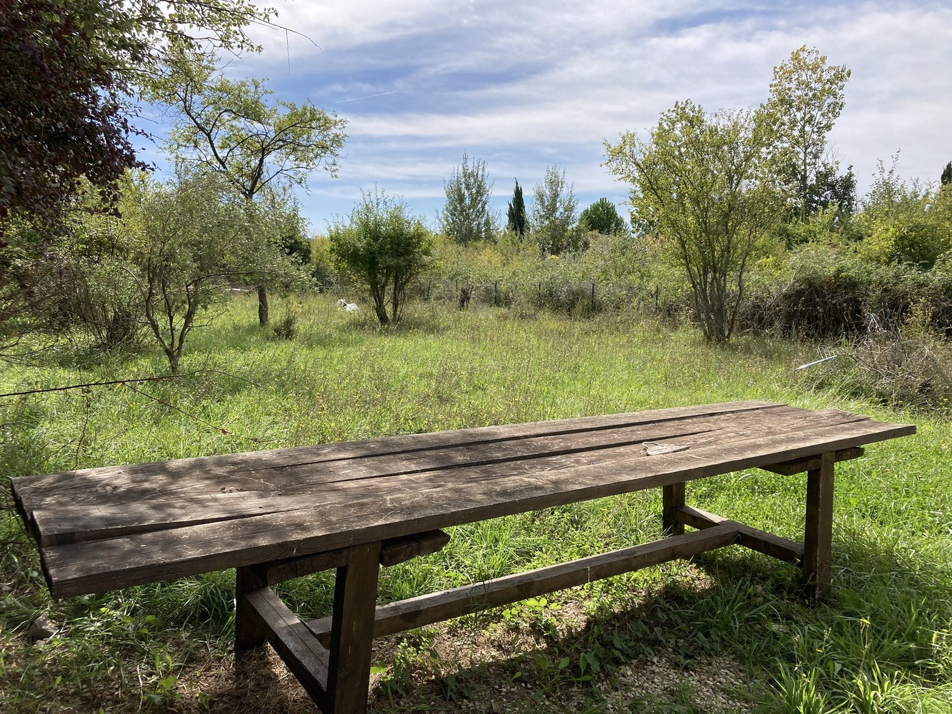 
                                                Vente
                                                 Cabanon de 18 m² sur 2000 m² de terrain