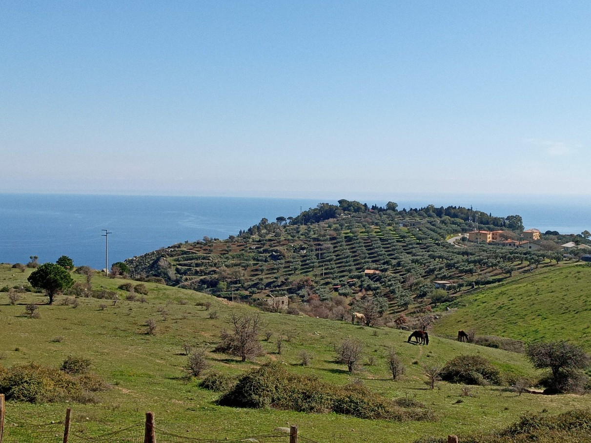 
                                                Vente
                                                 Calabre, villa/ch. d'hôtes vue mer à terminer