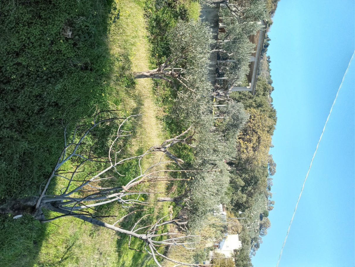 
                                                Vente
                                                 Calabre, villa/ch. d'hôtes vue mer à terminer